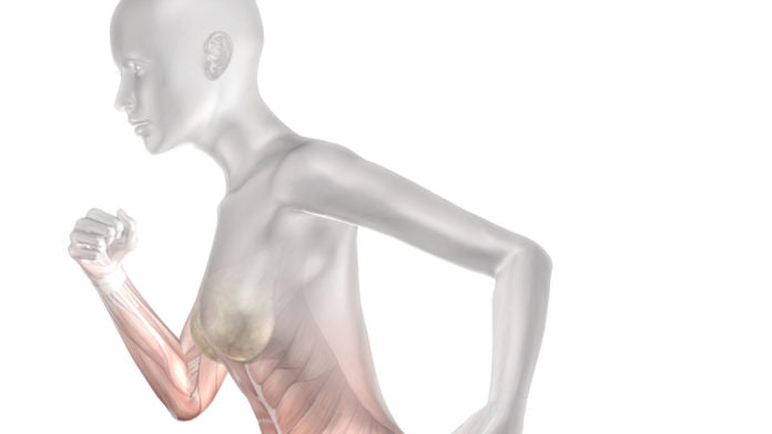 Putting The Right Fuel In Your Body Just Like You Do In Your Car